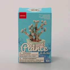 Costruzione - Pianta Grassa*MINISO Online