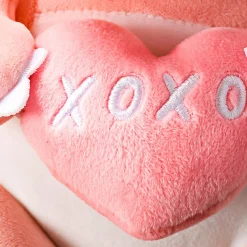 Dinosauro Cuore*MINISO New