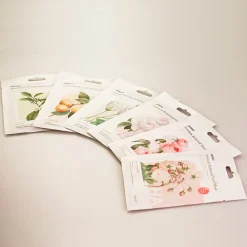 Premium Botanica Facial Mask - Caring*MINISO Best
