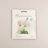 Premium Botanica Facial Mask - Purifying*MINISO Discount