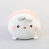 Vitality Canteen (Coniglio Bianco)*MINISO